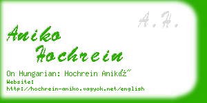 aniko hochrein business card